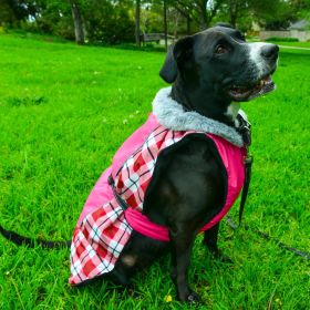 Alpine All-Weather Dog Coat (Color: Raspberry Plaid, size: 3X-Large)